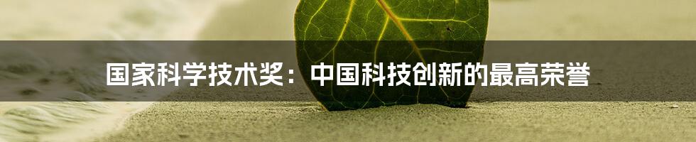 国家科学技术奖：中国科技创新的最高荣誉