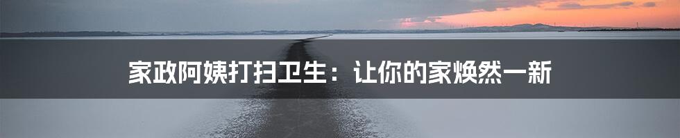 家政阿姨打扫卫生：让你的家焕然一新