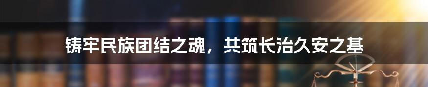 铸牢民族团结之魂，共筑长治久安之基