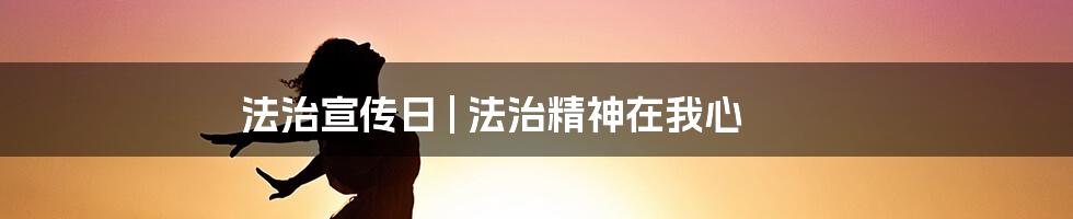 法治宣传日 | 法治精神在我心