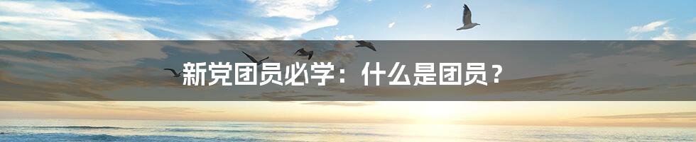 新党团员必学：什么是团员？