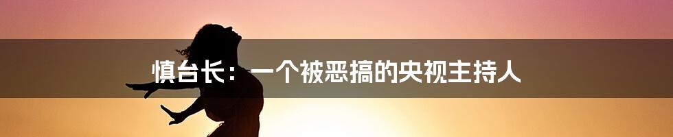 慎台长：一个被恶搞的央视主持人