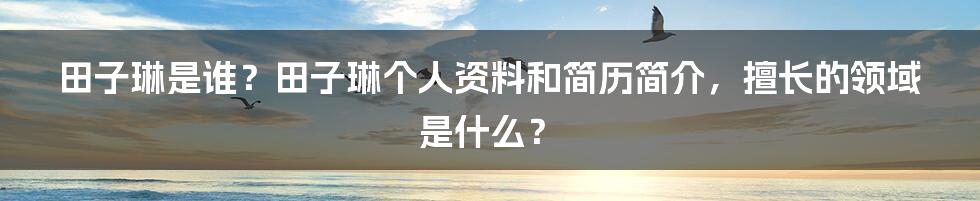 田子琳是谁？田子琳个人资料和简历简介，擅长的领域是什么？