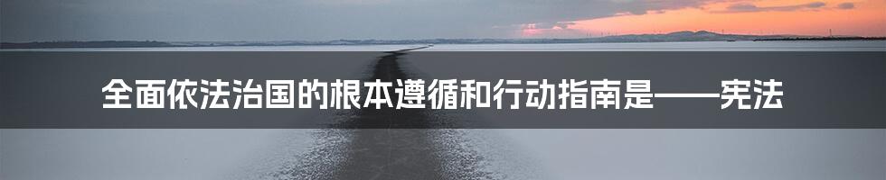 全面依法治国的根本遵循和行动指南是——宪法