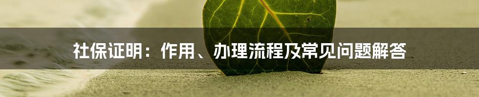 社保证明：作用、办理流程及常见问题解答