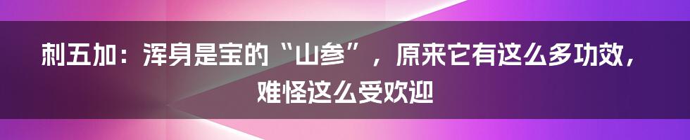 刺五加：浑身是宝的“山参”，原来它有这么多功效，难怪这么受欢迎