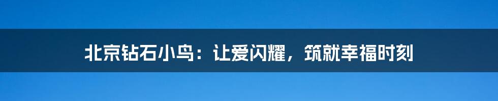 北京钻石小鸟：让爱闪耀，筑就幸福时刻