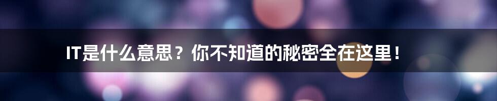 IT是什么意思？你不知道的秘密全在这里！