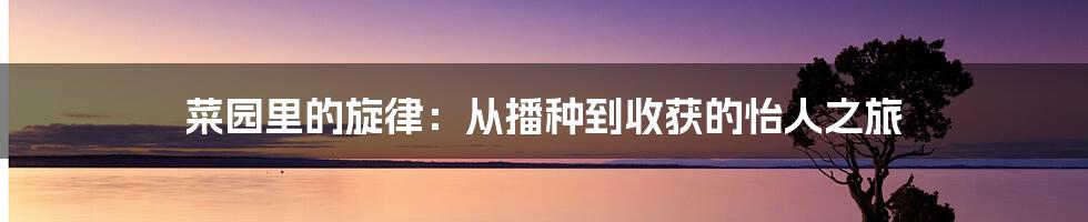 菜园里的旋律：从播种到收获的怡人之旅