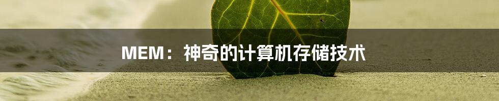 MEM：神奇的计算机存储技术