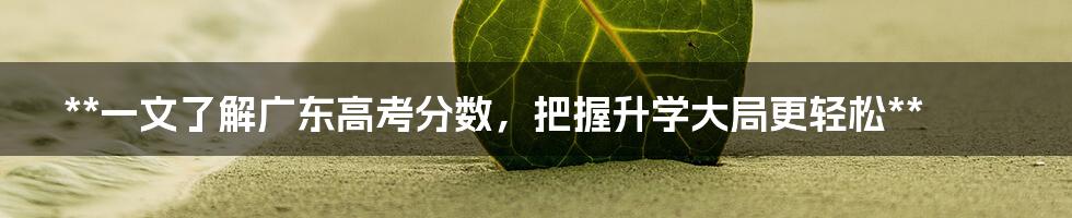 **一文了解广东高考分数，把握升学大局更轻松**