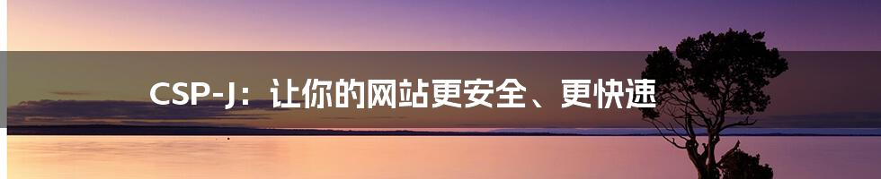 CSP-J：让你的网站更安全、更快速