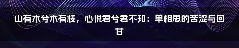 山有木兮木有枝，心悦君兮君不知：单相思的苦涩与回甘