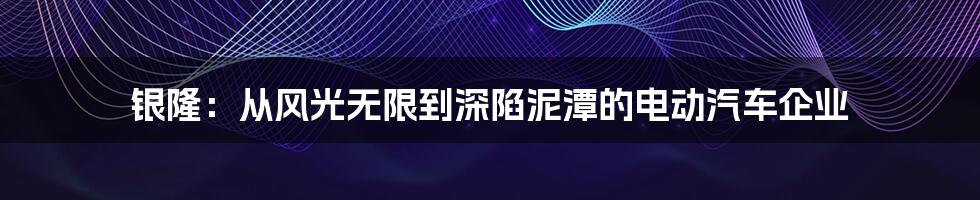 银隆：从风光无限到深陷泥潭的电动汽车企业