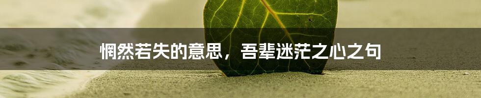 惘然若失的意思，吾辈迷茫之心之句