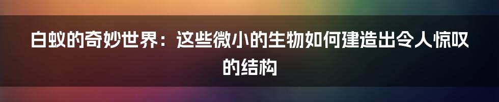 白蚁的奇妙世界：这些微小的生物如何建造出令人惊叹的结构