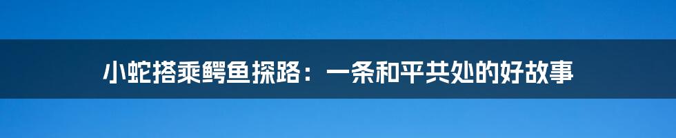 小蛇搭乘鳄鱼探路：一条和平共处的好故事