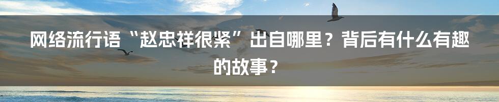 网络流行语“赵忠祥很紧”出自哪里？背后有什么有趣的故事？