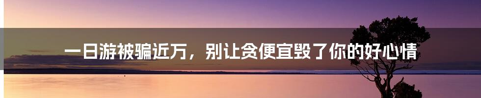 一日游被骗近万，别让贪便宜毁了你的好心情