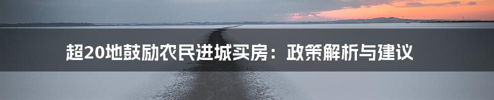 超20地鼓励农民进城买房：政策解析与建议