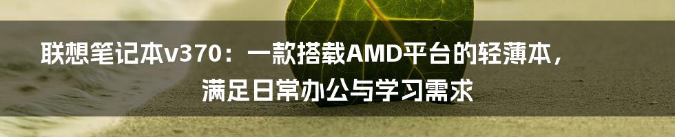 联想笔记本v370：一款搭载AMD平台的轻薄本，满足日常办公与学习需求