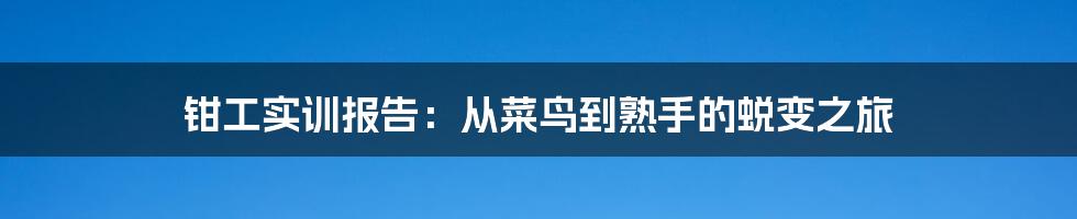 钳工实训报告：从菜鸟到熟手的蜕变之旅