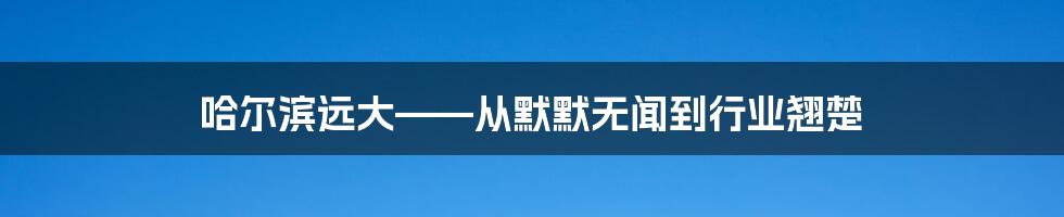 哈尔滨远大——从默默无闻到行业翘楚