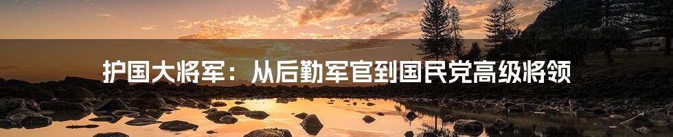 护国大将军：从后勤军官到国民党高级将领