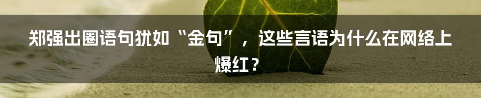 郑强出圈语句犹如“金句”，这些言语为什么在网络上爆红？