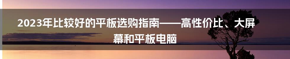 2023年比较好的平板选购指南——高性价比、大屏幕和平板电脑