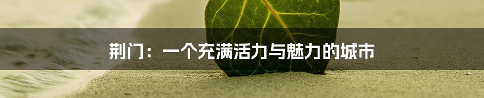 荆门：一个充满活力与魅力的城市