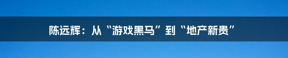 陈远辉：从“游戏黑马”到“地产新贵”