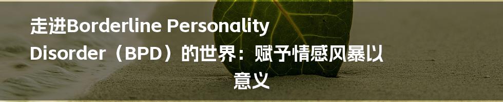 走进Borderline Personality Disorder（BPD）的世界：赋予情感风暴以意义