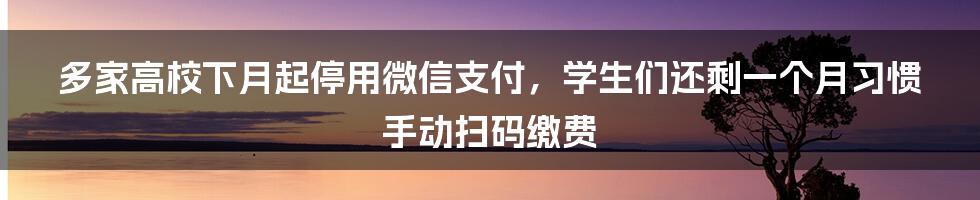 多家高校下月起停用微信支付，学生们还剩一个月习惯手动扫码缴费