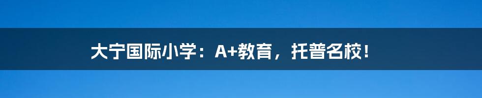 大宁国际小学：A+教育，托普名校！