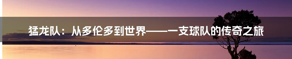 猛龙队：从多伦多到世界——一支球队的传奇之旅