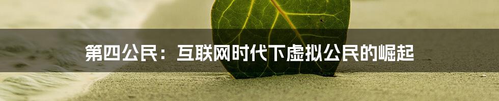 第四公民：互联网时代下虚拟公民的崛起