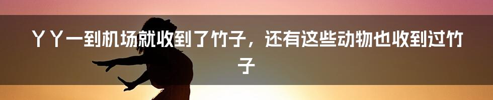 丫丫一到机场就收到了竹子，还有这些动物也收到过竹子