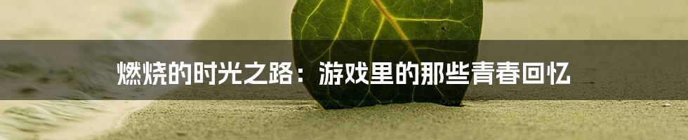 燃烧的时光之路：游戏里的那些青春回忆