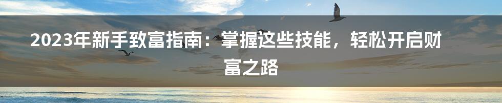 2023年新手致富指南：掌握这些技能，轻松开启财富之路