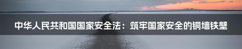 中华人民共和国国家安全法：筑牢国家安全的铜墙铁壁