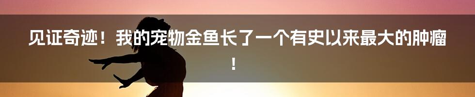 见证奇迹！我的宠物金鱼长了一个有史以来最大的肿瘤！