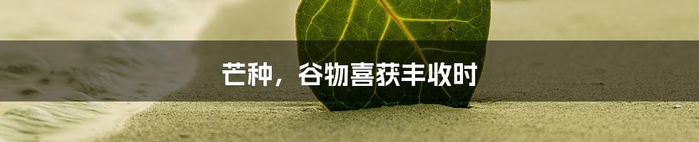 芒种，谷物喜获丰收时