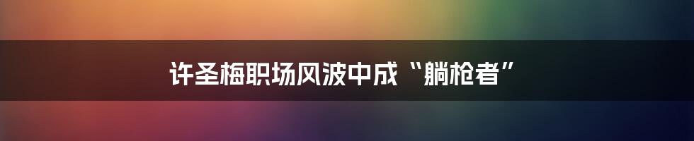 许圣梅职场风波中成“躺枪者”