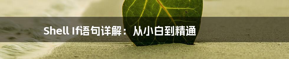 Shell If语句详解：从小白到精通