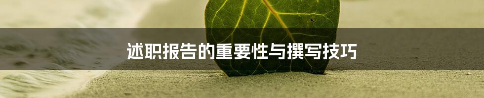 述职报告的重要性与撰写技巧