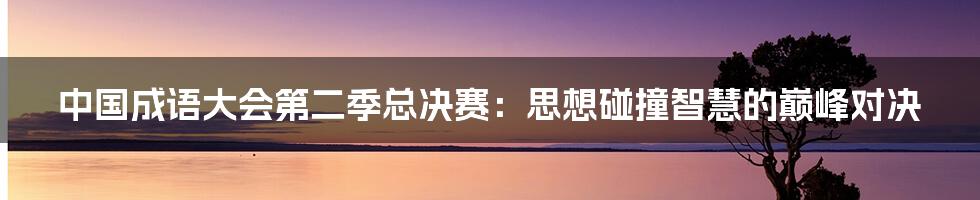 中国成语大会第二季总决赛：思想碰撞智慧的巅峰对决