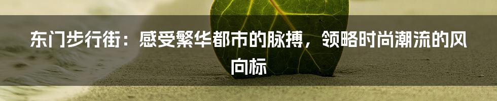 东门步行街：感受繁华都市的脉搏，领略时尚潮流的风向标