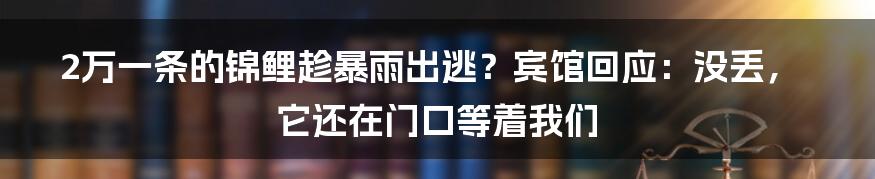 2万一条的锦鲤趁暴雨出逃？宾馆回应：没丢，它还在门口等着我们