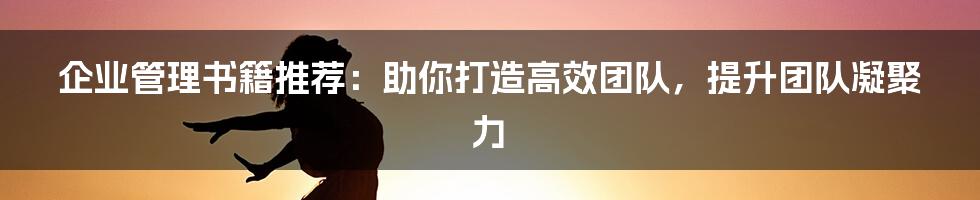 企业管理书籍推荐：助你打造高效团队，提升团队凝聚力